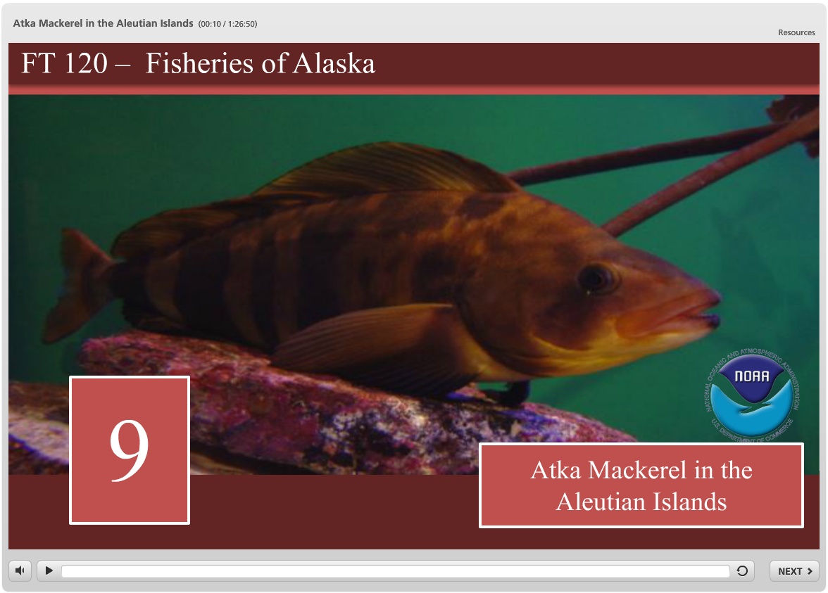 atka mackerel first page