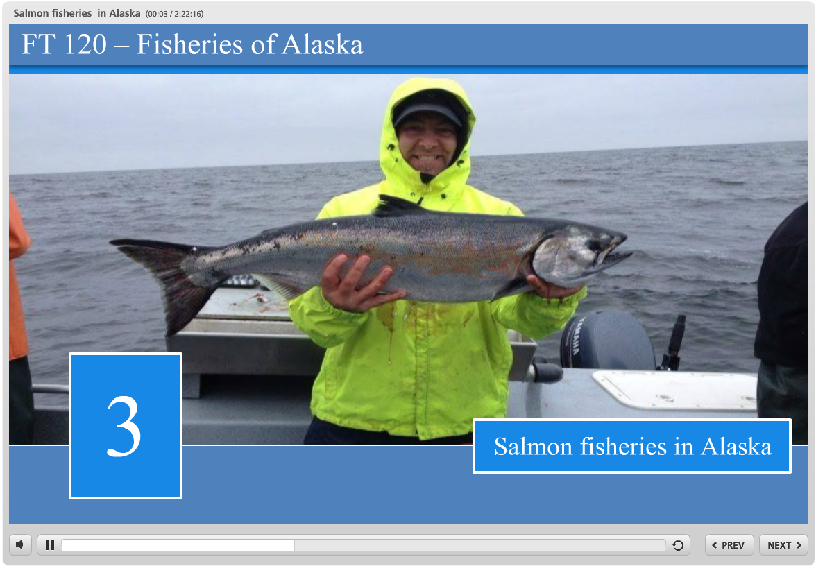 salmon fisheries in alaska